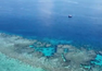 Great Barrier Reef Jobs in Cairns QLD 4870 - May 2024 | SEEK